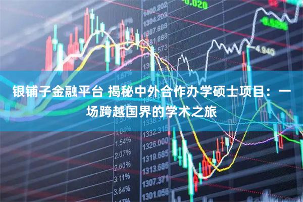 银铺子金融平台 揭秘中外合作办学硕士项目：一场跨越国界的学术之旅