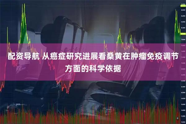 配资导航 从癌症研究进展看桑黄在肿瘤免疫调节方面的科学依据