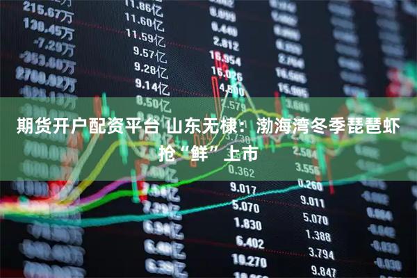 期货开户配资平台 山东无棣：渤海湾冬季琵琶虾抢“鲜”上市