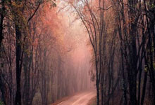 股票加杠杆app:线上配资平台官网-突然换帅！“世界超市”新掌门浮现 前董事长另有重任